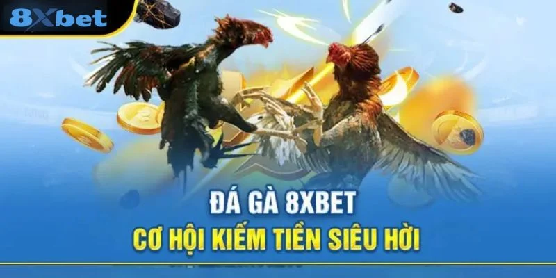 8XBET - Link Đăng Nhập 8X Bet Uy Tín Chính Thức 2025 12 Đá gà tại nhà cái mở ra cơ hội kiếm bạc tỷ.